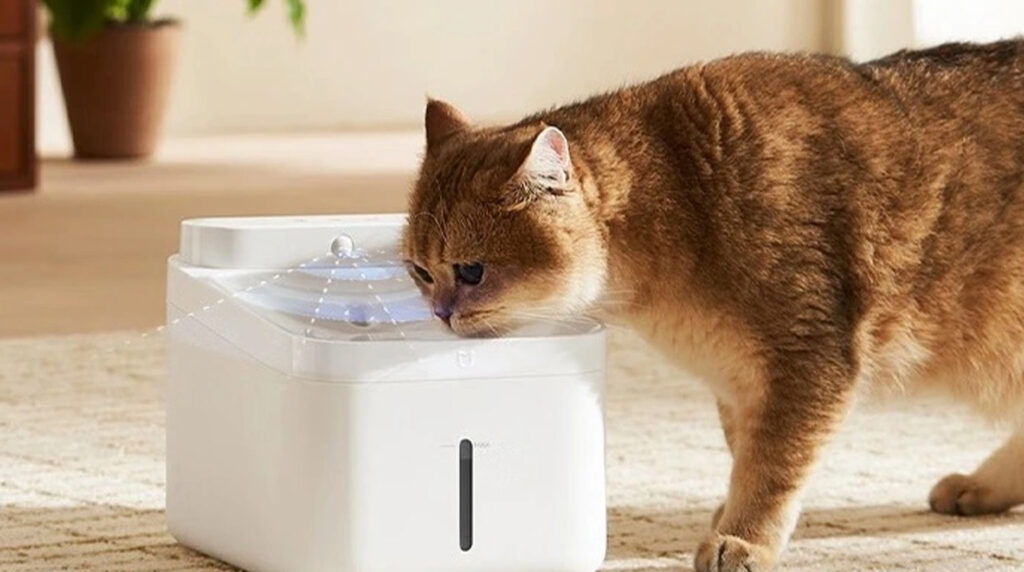 Xiaomi revolutionizes Pet Hydration with Mijia Smart Pet Drinking Fountain 2