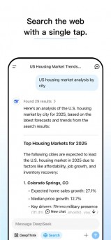 The DeepSeek app on iOS
