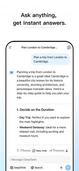 The DeepSeek app on iOS